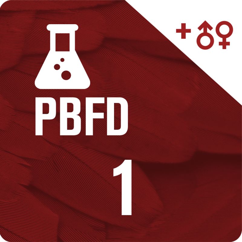 Sexado de aves por ADN + PBFD