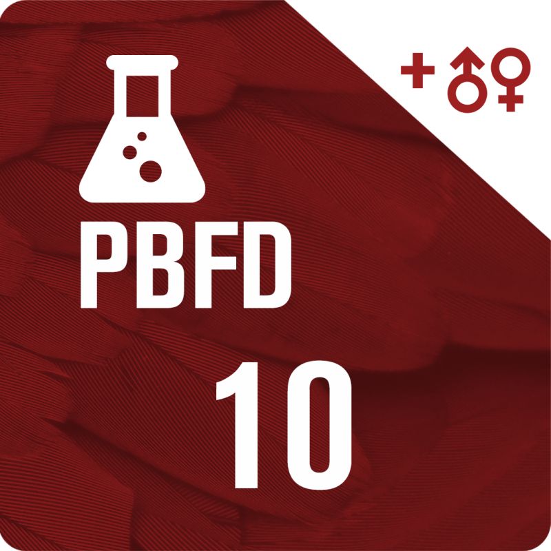 Pack 10 PBFD + DNA Sexing Test