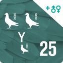 Pack of 25 DNA profiling and parentage testing (3 pigeons)