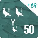 Pack of 50 DNA profiling and parentage testing (3 pigeons)