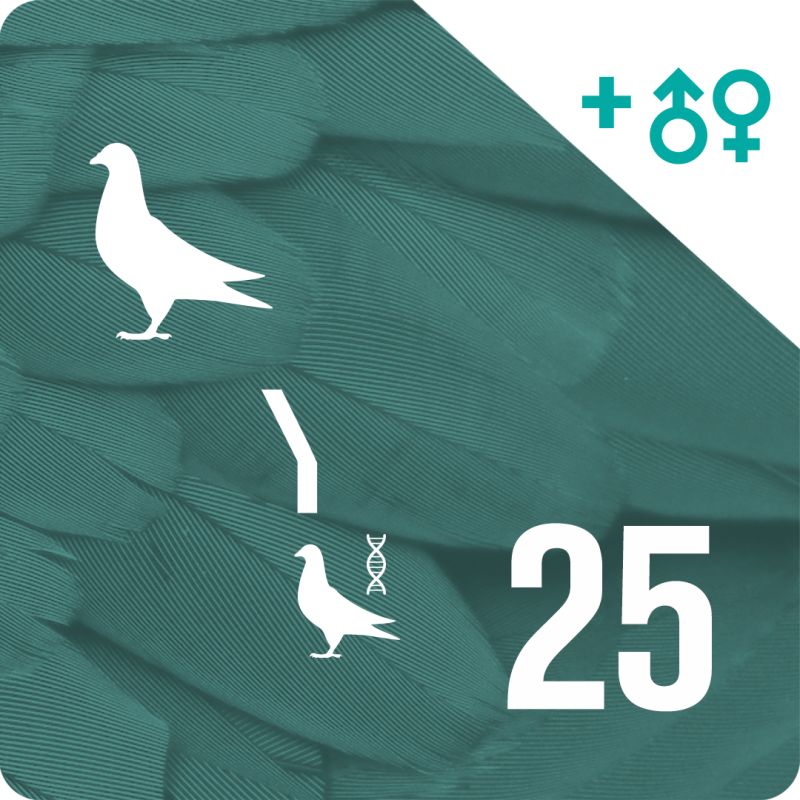 BONO 25. Genotipado y filiación (25 palomas)