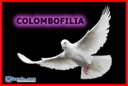 COLOMBOFILIA