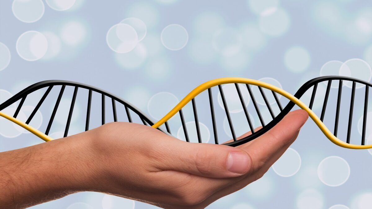 Qué es el Sexado EXPRESS por ADN y para qué sirve